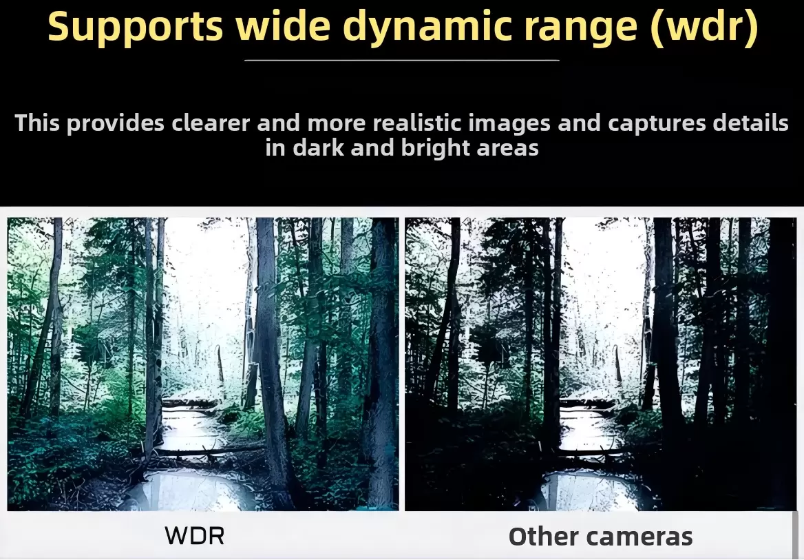 Caddx レートル プロ